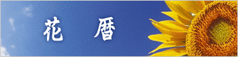 @ԁ@ 